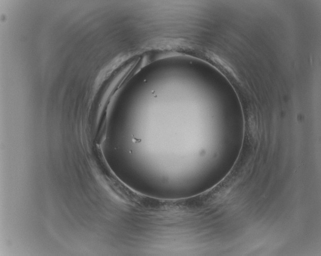 X0000075900682200609221937