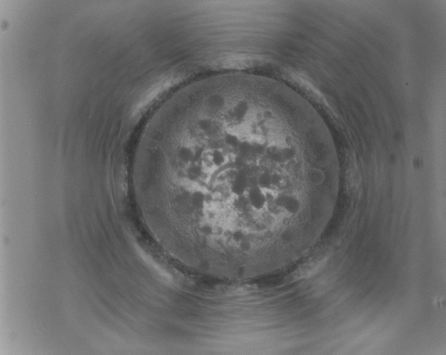 X0000075900683200609221937