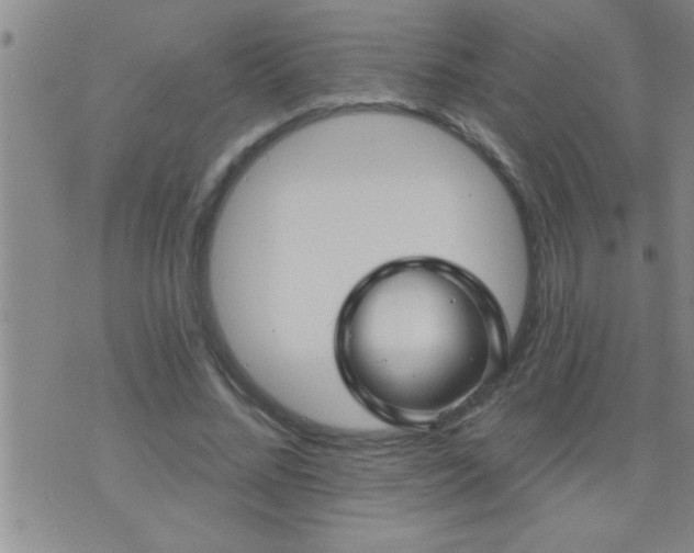 X0000075900684200609221937