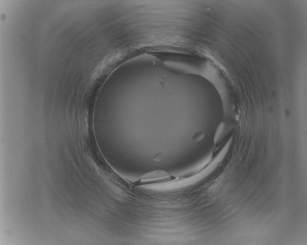 X0000075900685200609221937