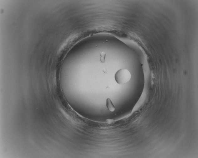 X0000075900686200609221937