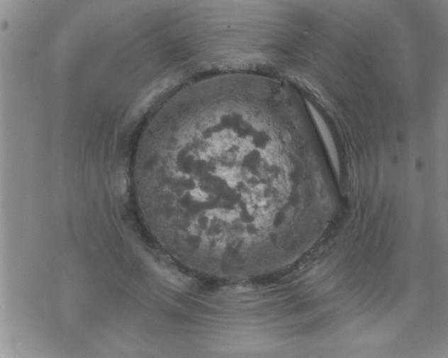 X0000075900687200609221937