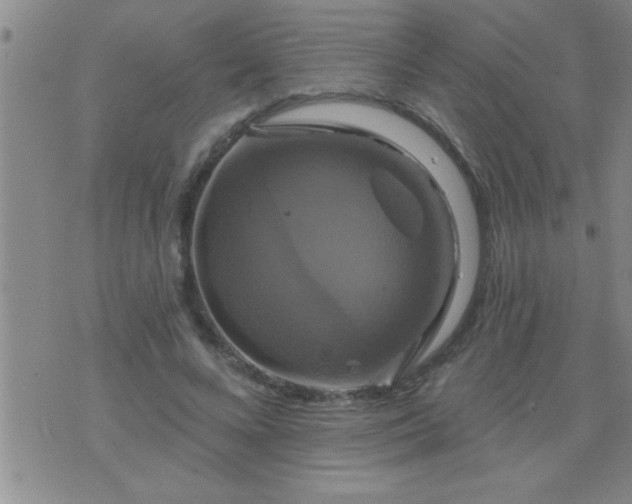 X0000075900688200609221937