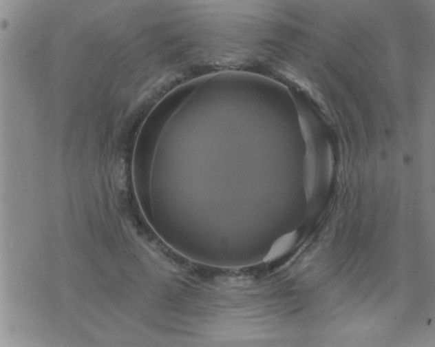 X0000075900689200609221937