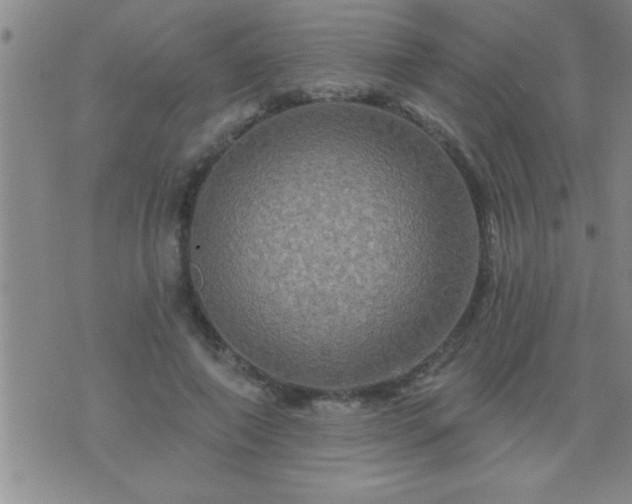 X0000075900690200609221937