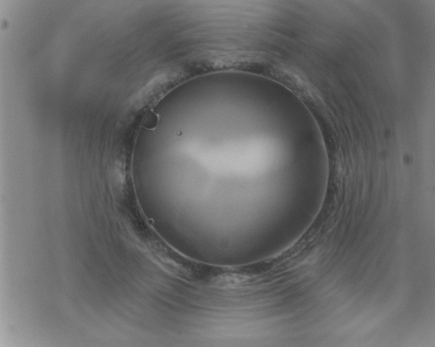 X0000075900691200609221937