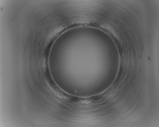 X0000075900692200609221937