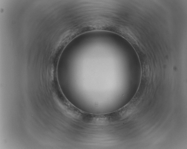 X0000075900694200609221937