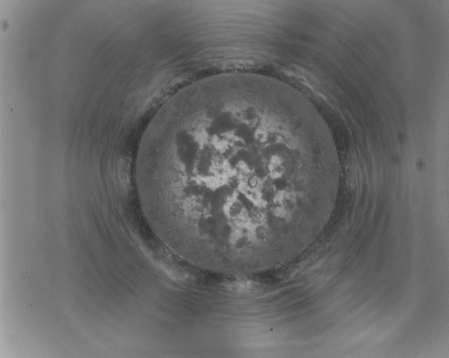 X0000075900695200609221937