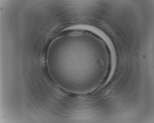 X0000075900697200609221937