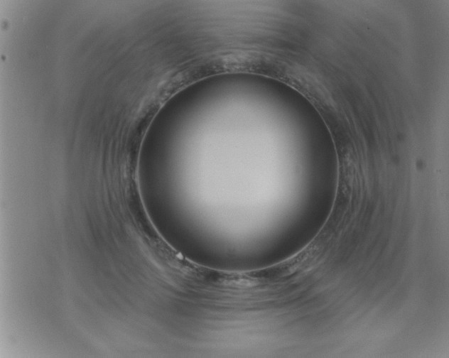 X0000075900698200609221937