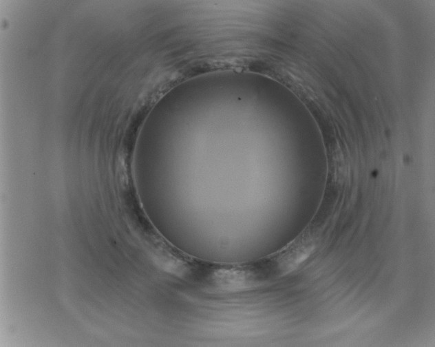 X0000075900699200609221937