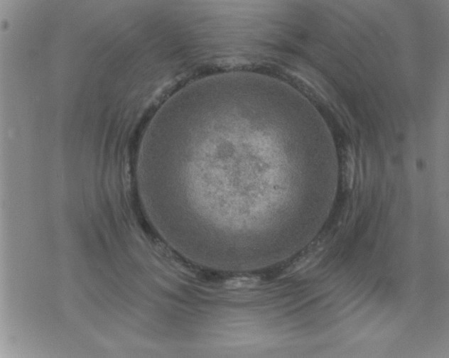 X0000075900700200609221937