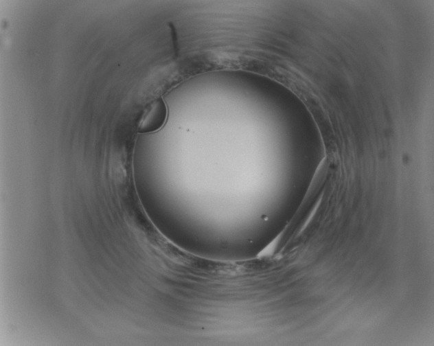 X0000075900702200609221937