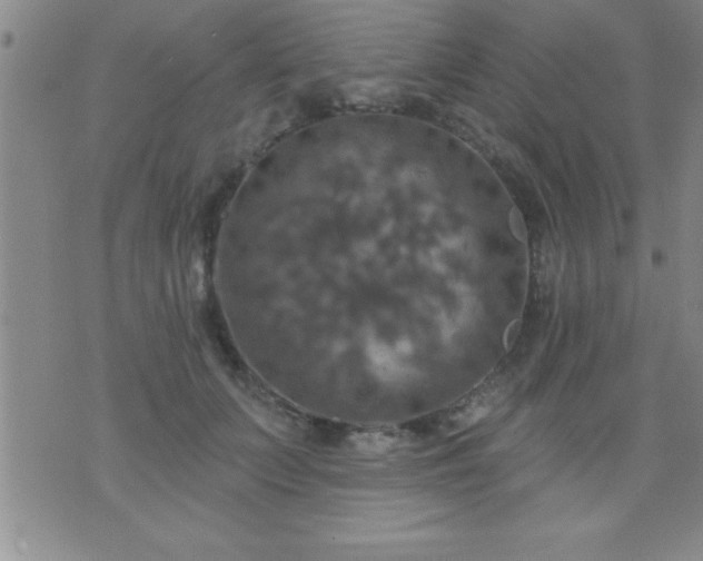 X0000075900703200609221937