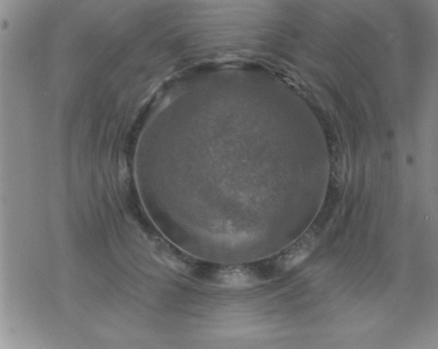 X0000075900704200609221937