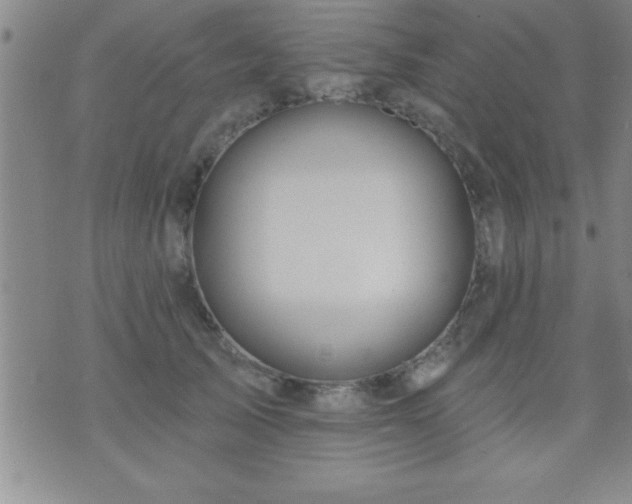 X0000075900705200609221937