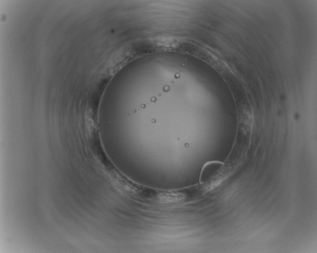 X0000075900707200609221937