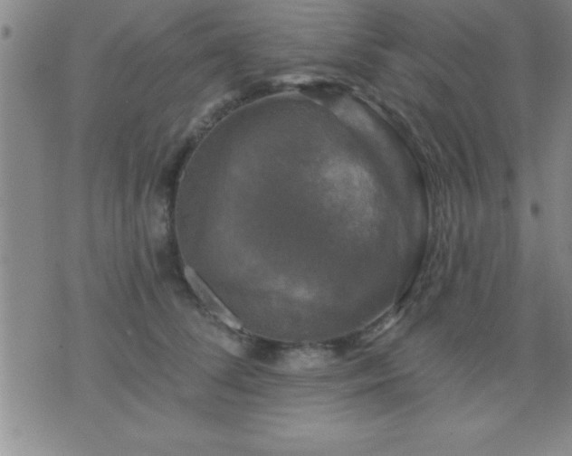 X0000075900708200609221937