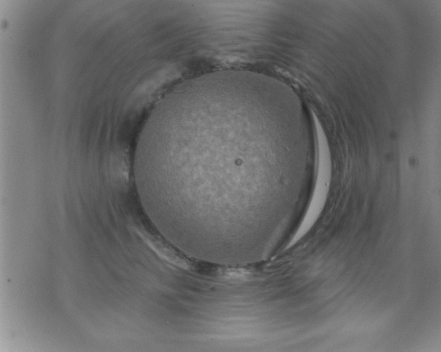 X0000075900710200609221937