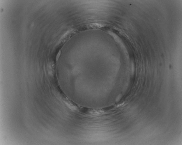 X0000075900712200609221937