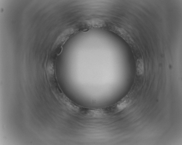 X0000075900713200609221937