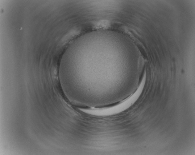 X0000075900714200609221937