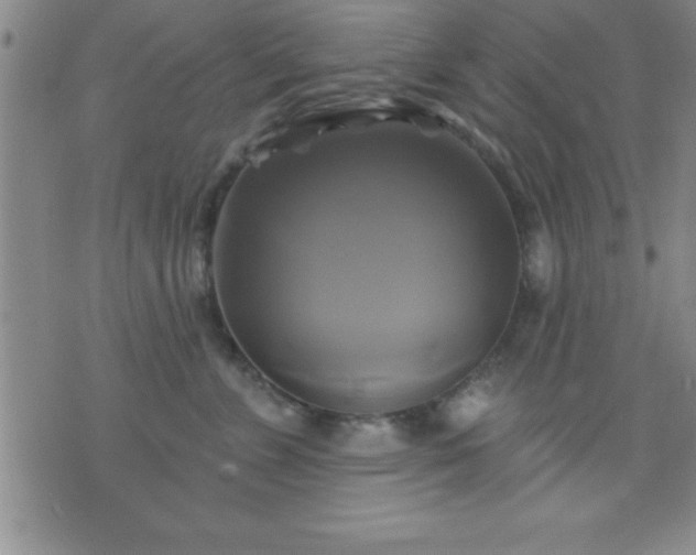 X0000075900715200609221937