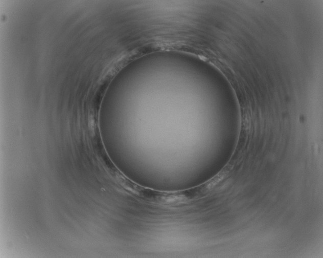 X0000075900716200609221937