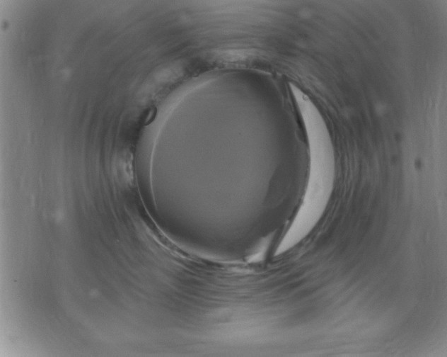 X0000075900718200609221937