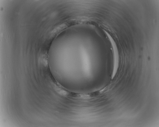 X0000075900719200609221936