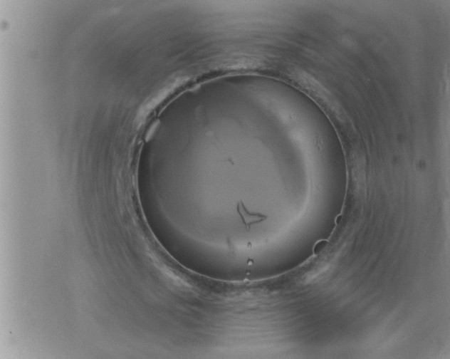 X0000075900721200609221936