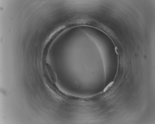 X0000075900722200609221936