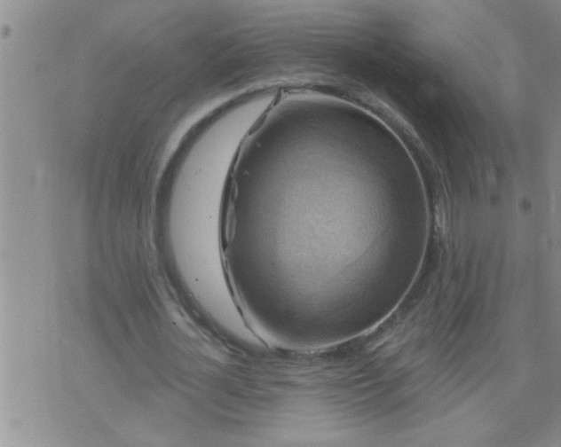 X0000075900724200609221936