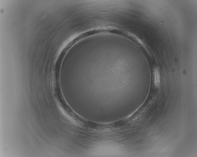 X0000075900726200609221936