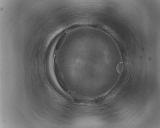 X0000075900727200609221936