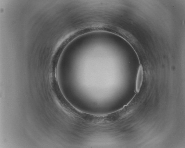 X0000075900728200609221936