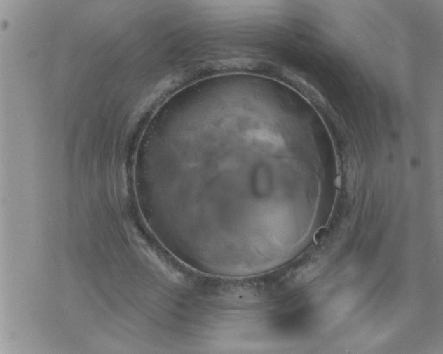 X0000075900729200609221936