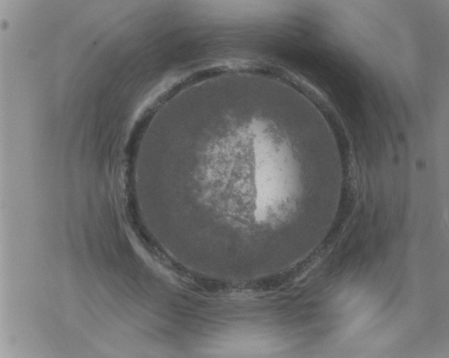 X0000075900730200609221936