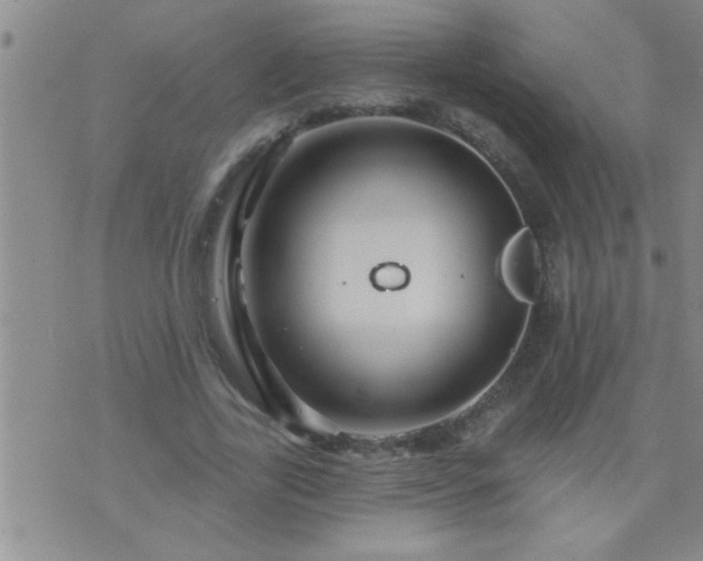 X0000075900731200609221936