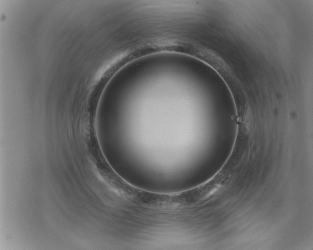 X0000075900732200609221936