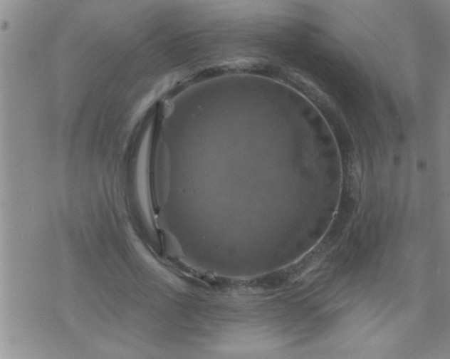 X0000075900734200609221936