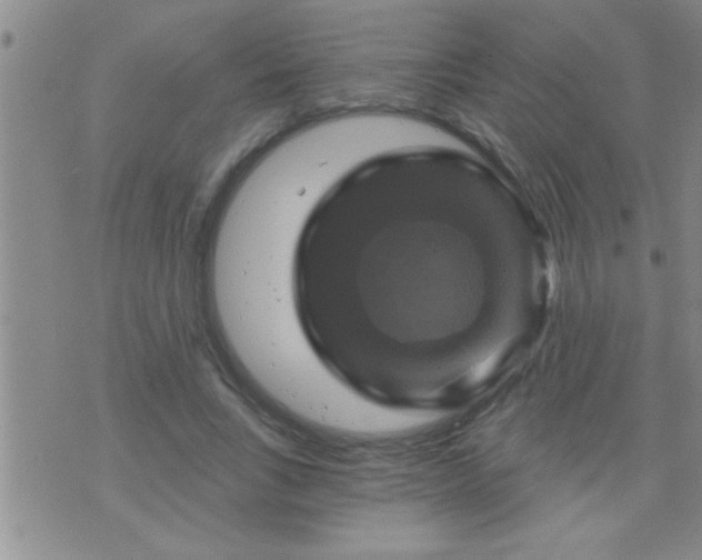 X0000075900735200609221936