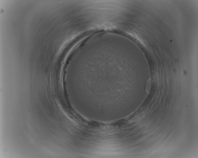 X0000075900736200609221936