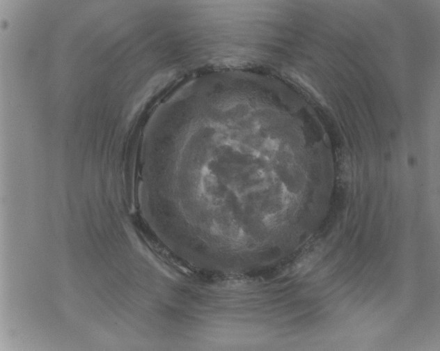 X0000075900738200609221936