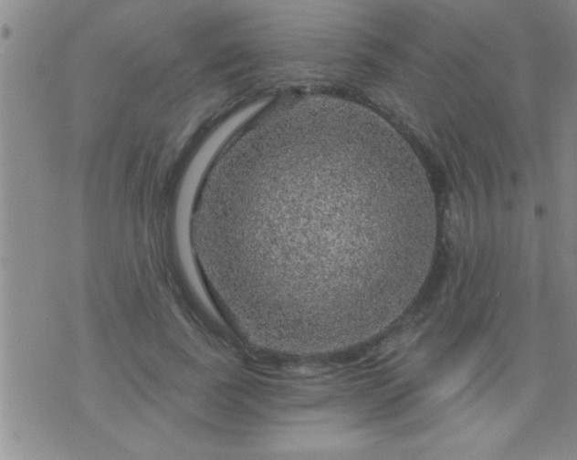 X0000075900739200609221936