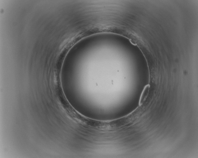 X0000075900740200609221936