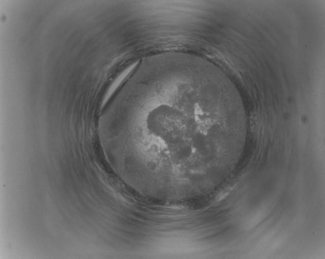 X0000075900741200609221936