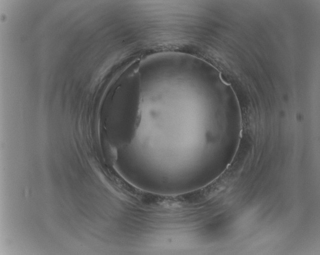 X0000075900742200609221936