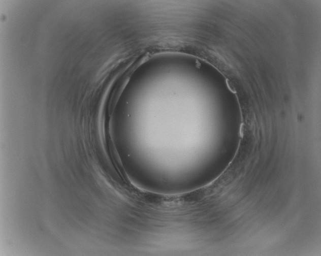 X0000075900744200609221936